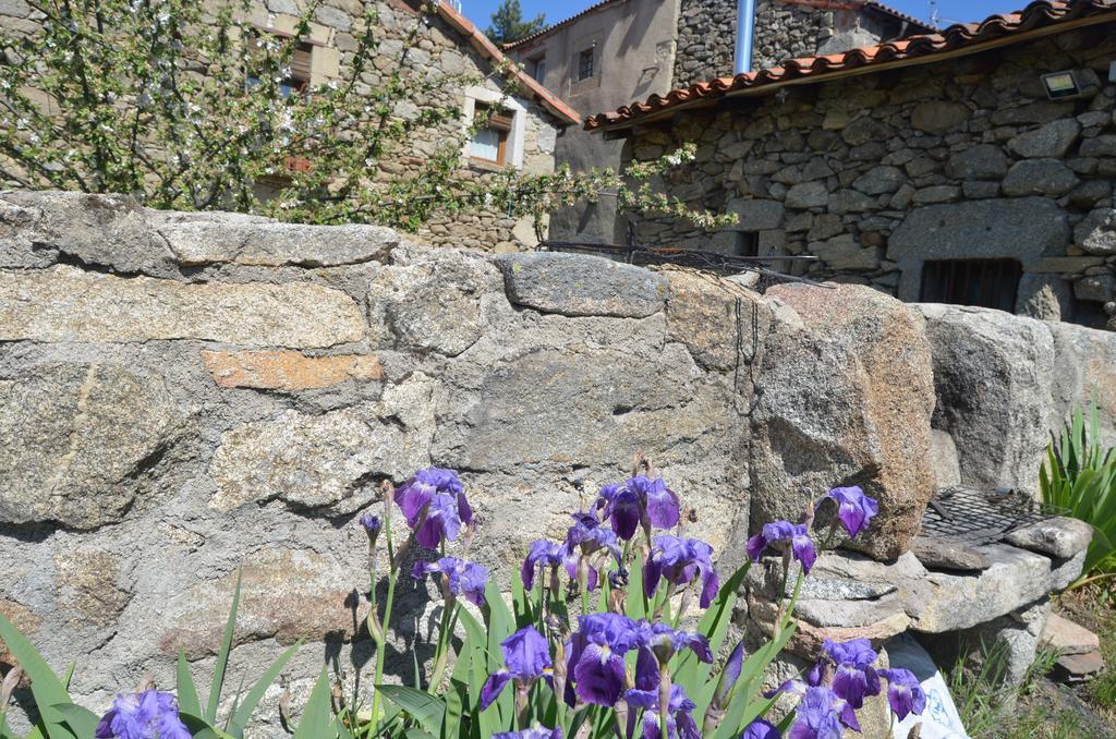 Casa Rural Almanzor Pensionat Navarredonda de Gredos Eksteriør billede